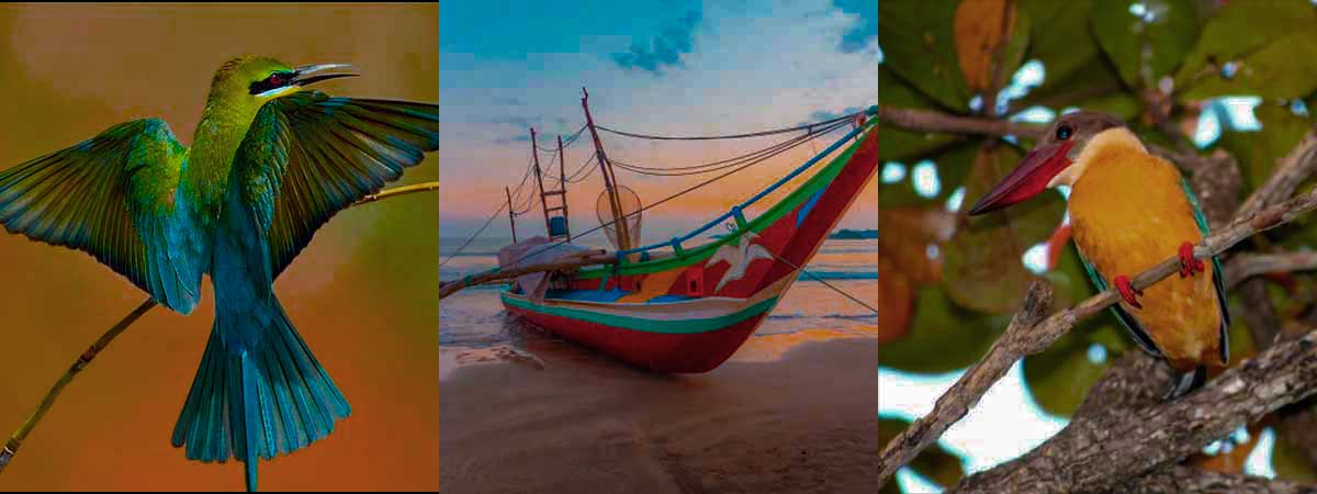 Marine Ecosystems, Conservation Experiences & Coastal Communities