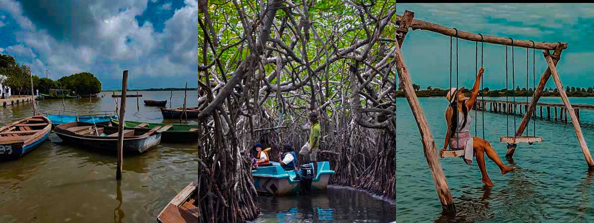 Marine Ecosystems, Conservation Experiences & Coastal Communities