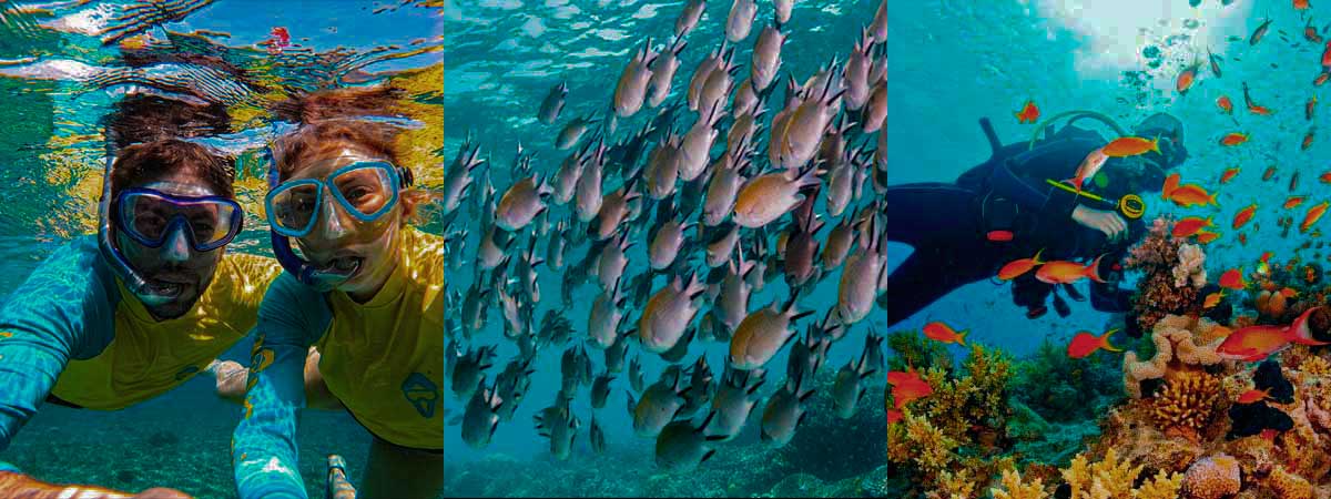 Marine Ecosystems, Conservation Experiences & Coastal Communities