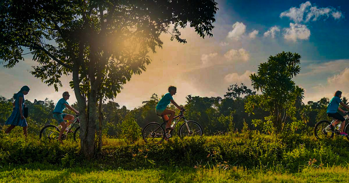 Cycling Tours